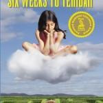 Book Tour Stop: Review “Six Weeks to Yehidah” by Melissa Studdard