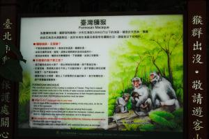 Macaque Information