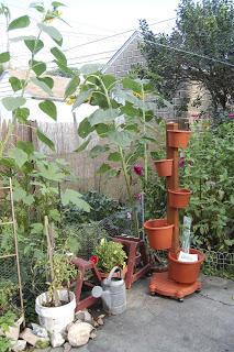 My Garden Post: Vertical Garden System (Review)