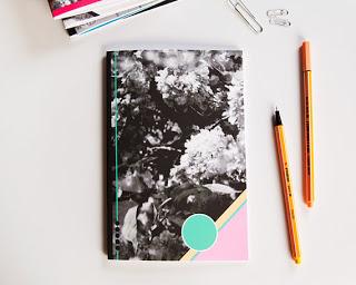 paper fix | polaroid emulsion prints