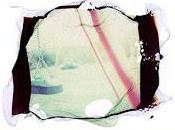 Paper Polaroid Emulsion Prints