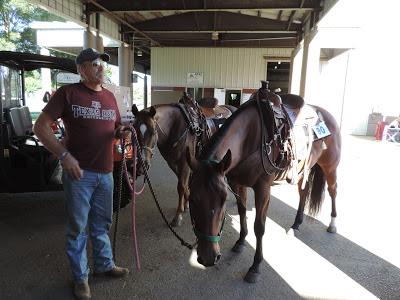 Western States Stock Horse Show - Saturday Western Pleasure and Trail