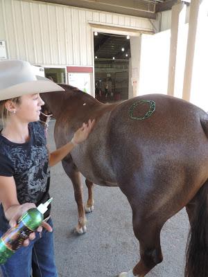 Western States Stockhorse Show - Sunday Reining