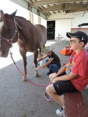 Western States Stockhorse Show - Sunday Reining