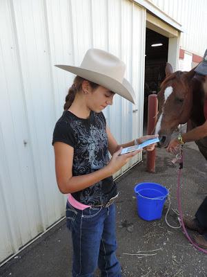 Western States Stockhorse Show - Sunday Reining