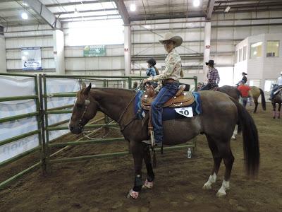 Western States Stockhorse Show - Sunday Reining