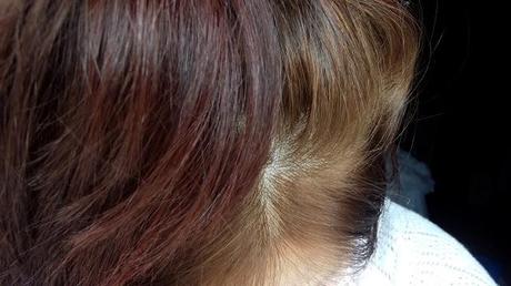 Garnier Belle Color Box Hair Dye Review Paperblog