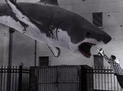 Nielsen Twitter Rating Almost Here, Does Chatter Actually Influence Ratings?