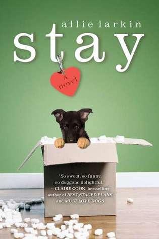 Book Review: Stay by Allie Larkin