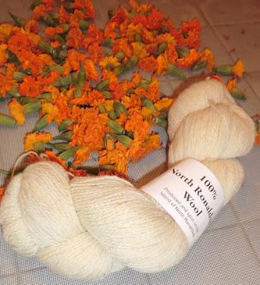Ronaldsay Wool and Dyeing with Marigolds