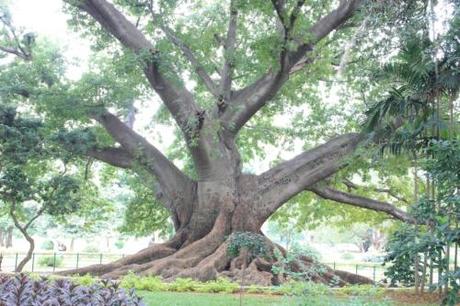 Taken September 3, 2013