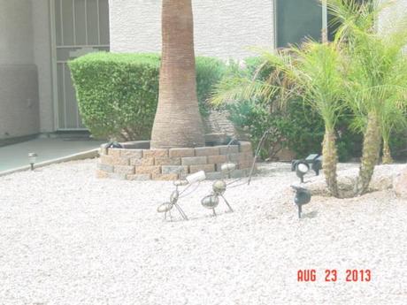 probestpestmanagementDSC06534