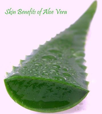 Aloe Vera- For a Younger Looking & Beautiful Skin