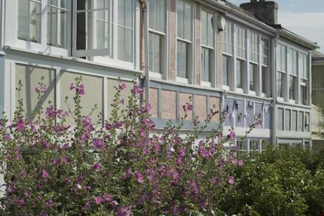 Colourful cottages in Whitstable