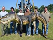 Interest: 700+ Alligators Killed Miss. Today