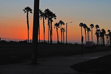 ilovegreeninspiration_los_angeles_gettymuseum_20