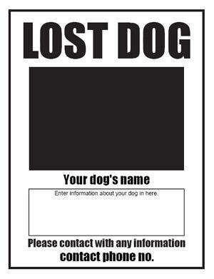 lost dog ad