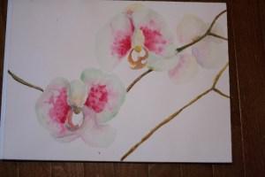 watercolor tulips-1-3