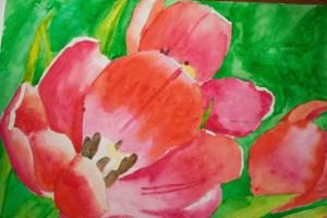 watercolor tulips-1