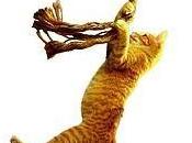 Book Review: Save Cat! Blake Snyder