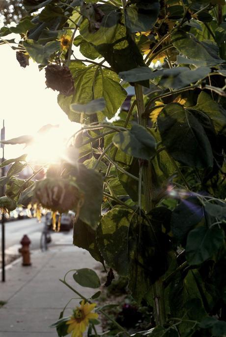 Weekend weekend3 Weekend