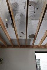 Lightbox House by Edwards Moore