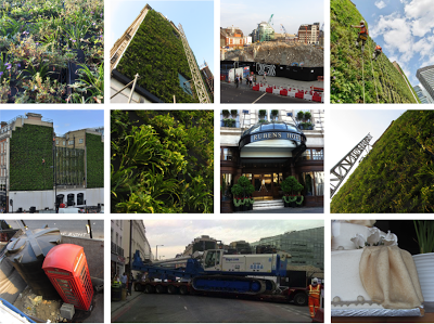 London's largest Living Wall at Rubens hotel