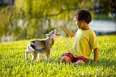 playing with puppy