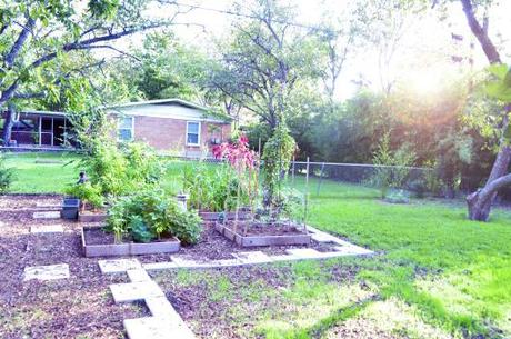 Raised beds