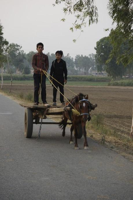 Colorful People of India