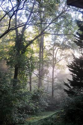 Light -- Early Morning and Late Afternoon