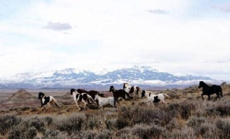 50dbccbb3d1dc.preview-620