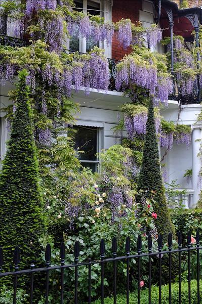 In and Around London... Chelsea