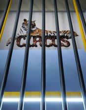 Biribildu by Minas Kosmidis