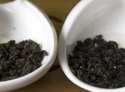 Tieguanyin, Haven’t Them All- Diversity