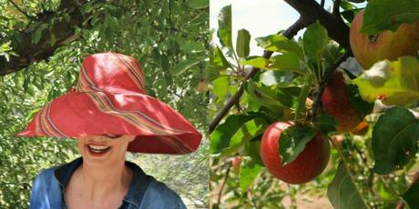 ... what I wore apple picking ...