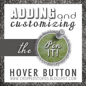 PIN IT HOVER BUTTON GRAPHIC