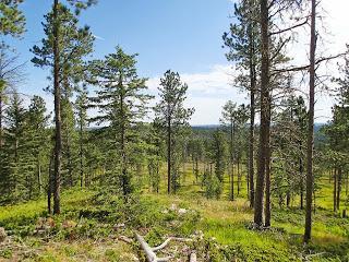 2014 Rogaining World Championships Announce Entry Criteria