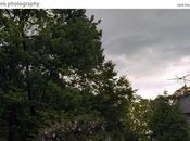 Promo Daily: Michael Lewis