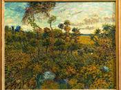 Vincent Doctor…for Reals