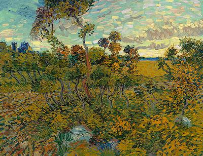 'New' Van Gogh Is Not All That New