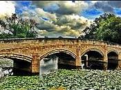 Bridge Over River Soar,Abbey Park,Leicester #Leicester#camera+