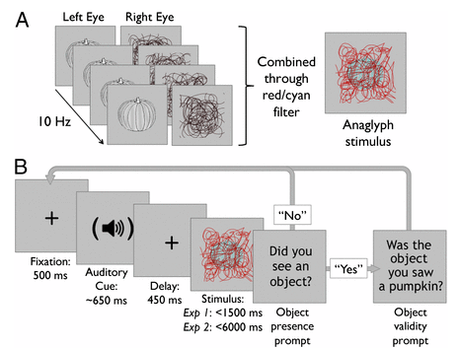 Language can boost unseen objects into visual awareness.