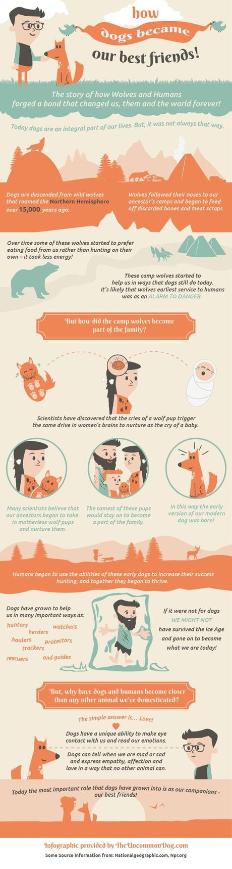How Dogs Became Our Best Friends