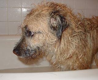 Comfort from Revelation, of all places!