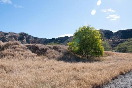 oahu july 2013 north shore and diamond head