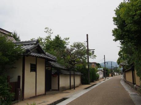 P6090015 歴史的情緒あふれる城下町、丹波篠山 / Sasayama, castle town with historical atmosphere 