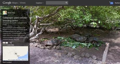 google-maps-galapagos-2