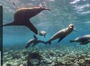 Walk Galapagos Islands with Google Maps