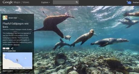 google-maps-galapagos